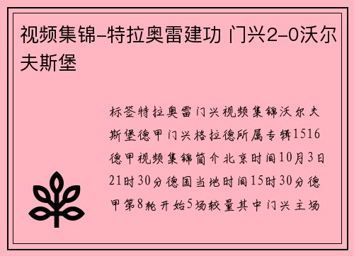 视频集锦-特拉奥雷建功 门兴2-0沃尔夫斯堡